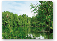 Charente
