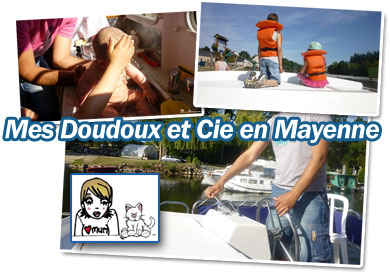 Mayenne